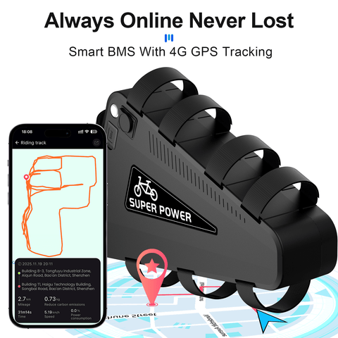 【EU STOCK】P101 48V 30AH BMS50A Triangle Battery With GPS LG5000 Cells Li-ion Ebike Battery
